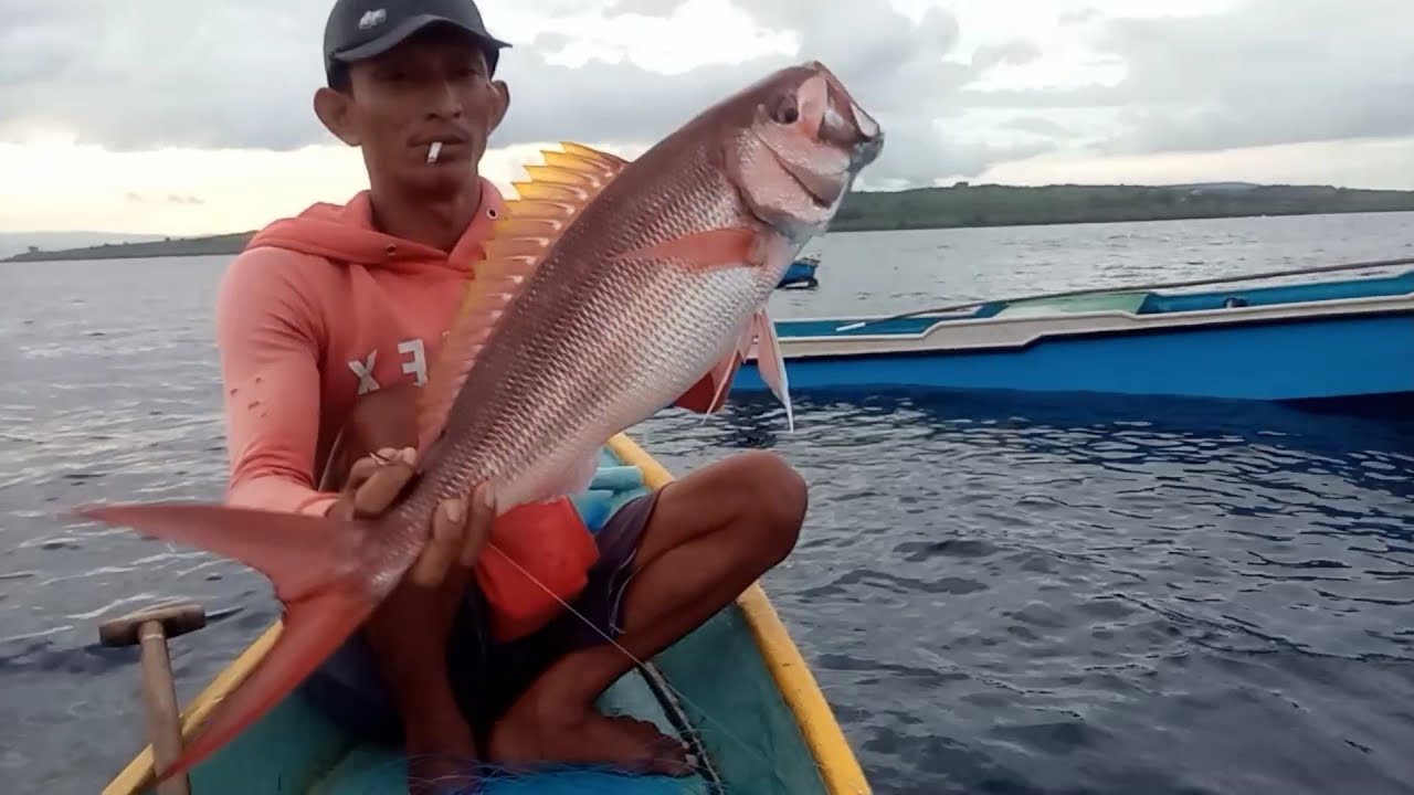 MANCING IKAN KURISI BABON || SAMPAI TALI PANCING BANYAK YANG PUTUS #tradisionalfishing #mancingmania
