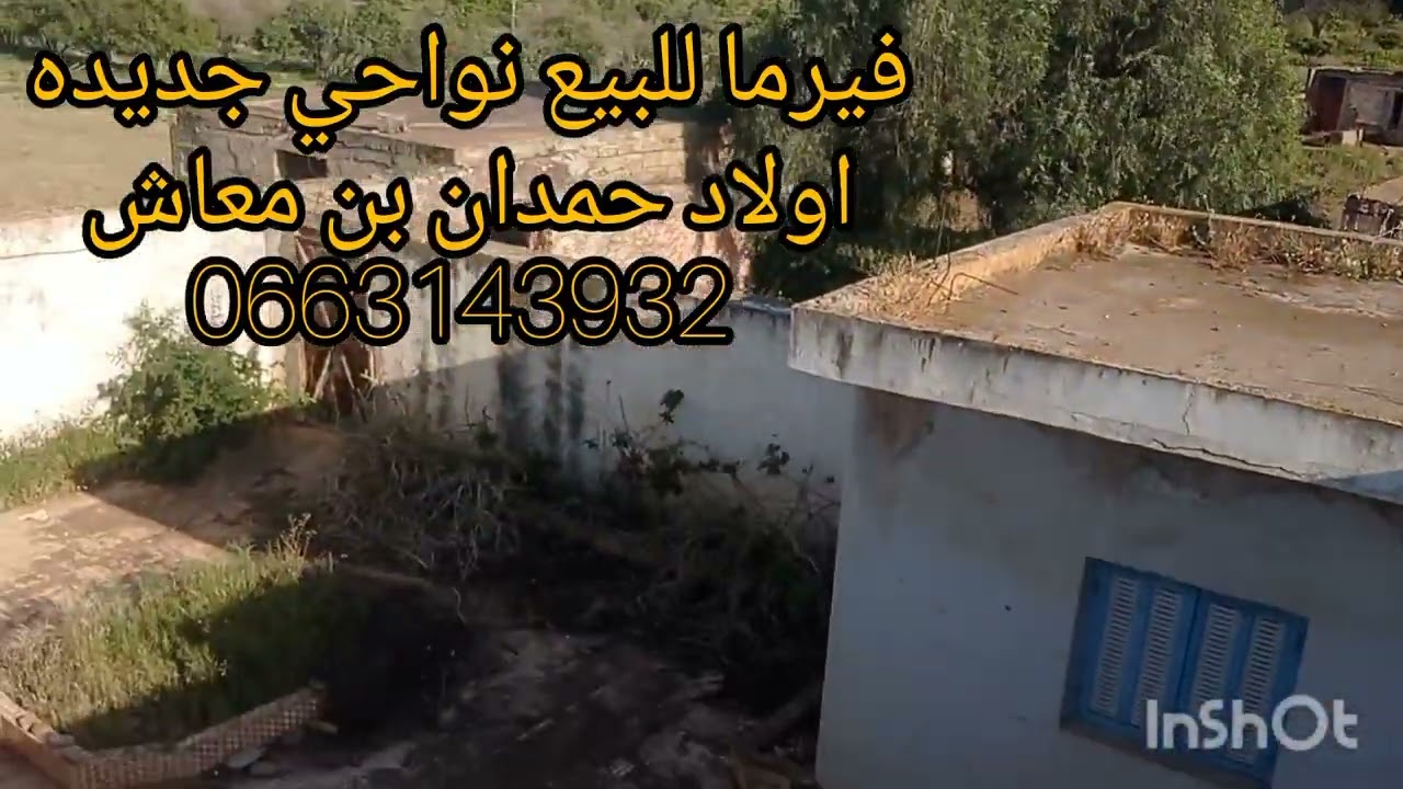فيرما للبيع نواحي جديده اولاد حمدان فيها الكواره والدار الطريقالكودرو همزه 0663143932🏡☘️