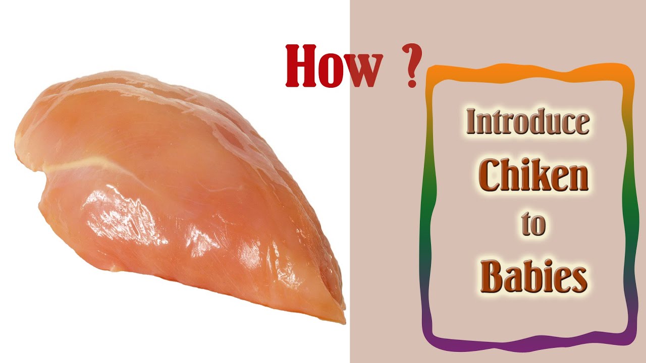 Baby Food || Introduce Chicken to Babies at the age of 7 to 8 months || But HOW?