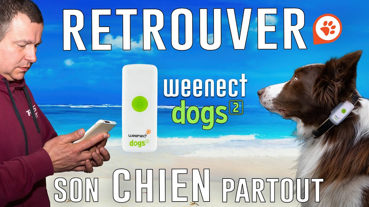 RETROUVER SON CHIEN FACILEMENT  - Weenect dogs 2