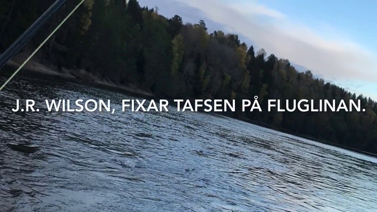 Fluglina-tafs-tafsspets   Snøre-fortom-spissen  Line-leader-tippet
