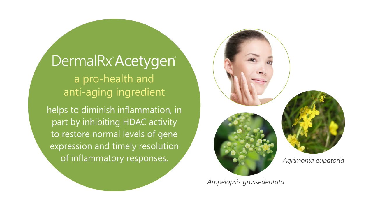 Promote Skin Health and Function with DermalRx® Acetygen®