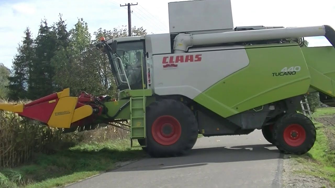 Koszenie zielonej Kukurydzy na ziarno 2020