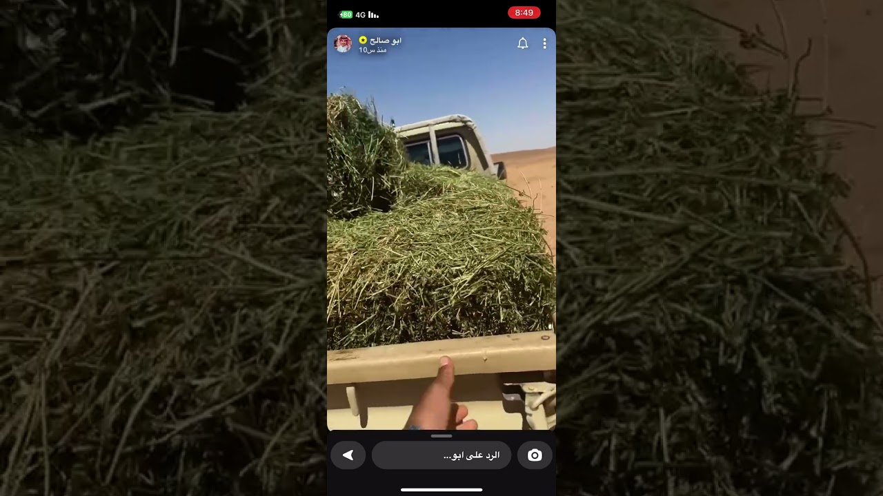 ابوصالح نوسع الشبوك عشان الغنم تبرد بالحر 🐐