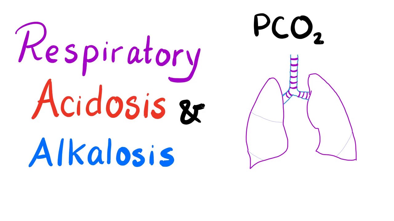 Respiratory Acidosis & Alkalosis | Acid-Base Imbalance