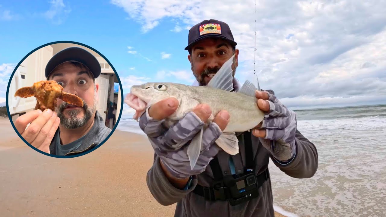 EAT Fried Whiting collars *Catch and Cook 