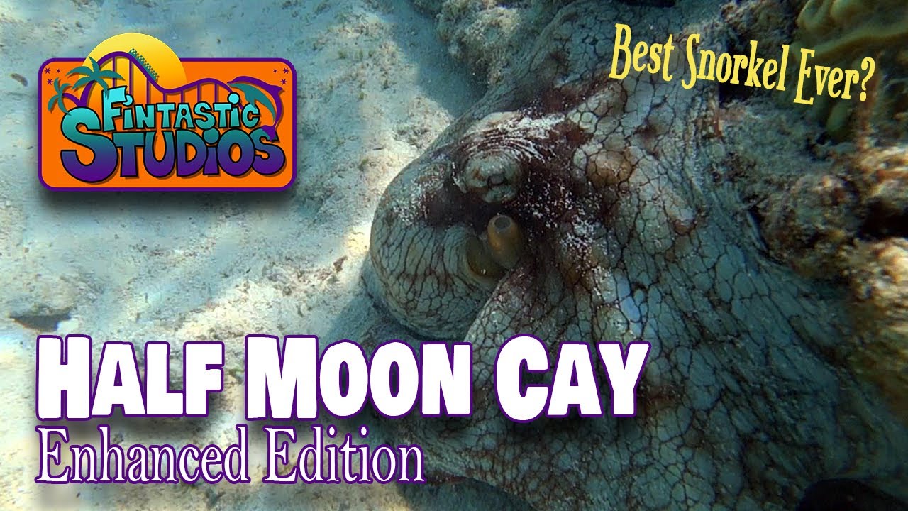 Perfect Day at Half Moon Cay (underwater)