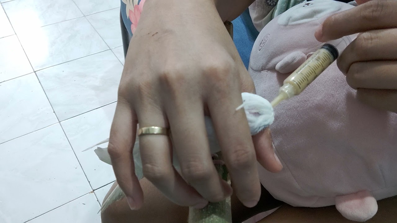Handfeeding Semi-tamed Cockatiel. Hindi pa sanay sa syringe 💉💉💉💉