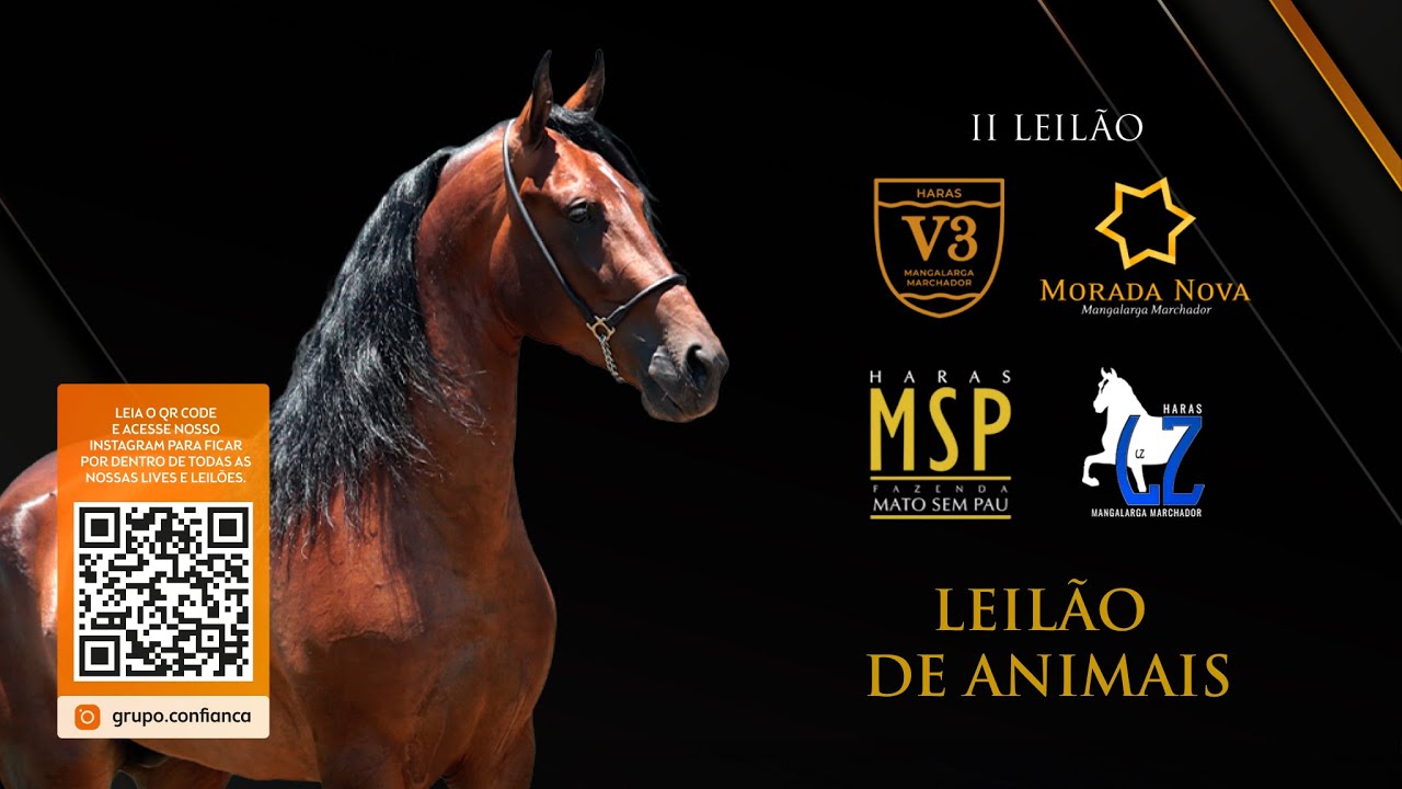 Leilão de Animais  -  II Leilão Haras V3, Haras Morada Nova, Haras MSP e Haras LZ