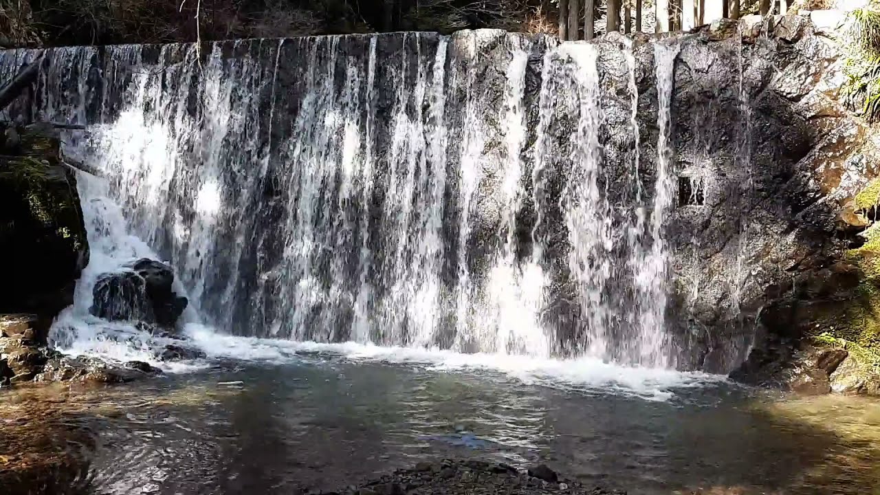 001 Upstream of the Kamo River in Kyoto, Japan - Relaxing Nature Sounds