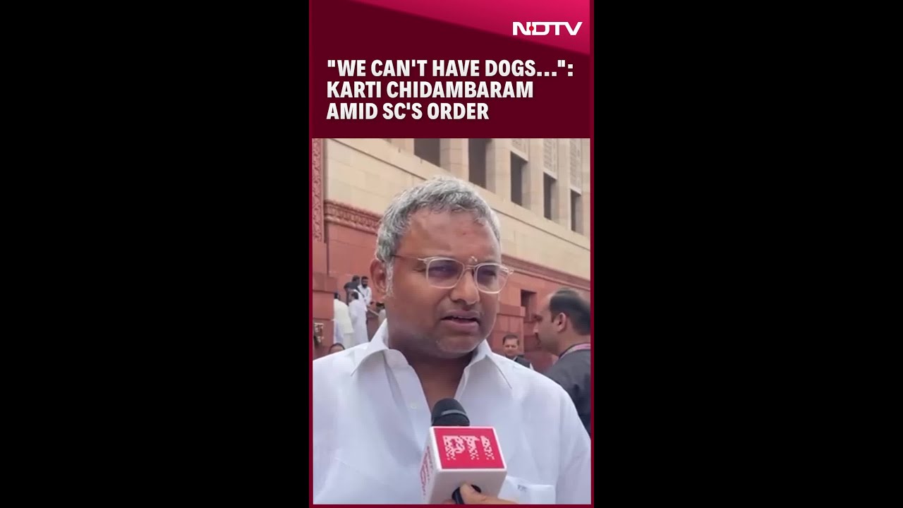 Congress MP Karti Chidambaram Backs Supreme Court's Order On Stray Dogs's Removal From Delhi-NCR