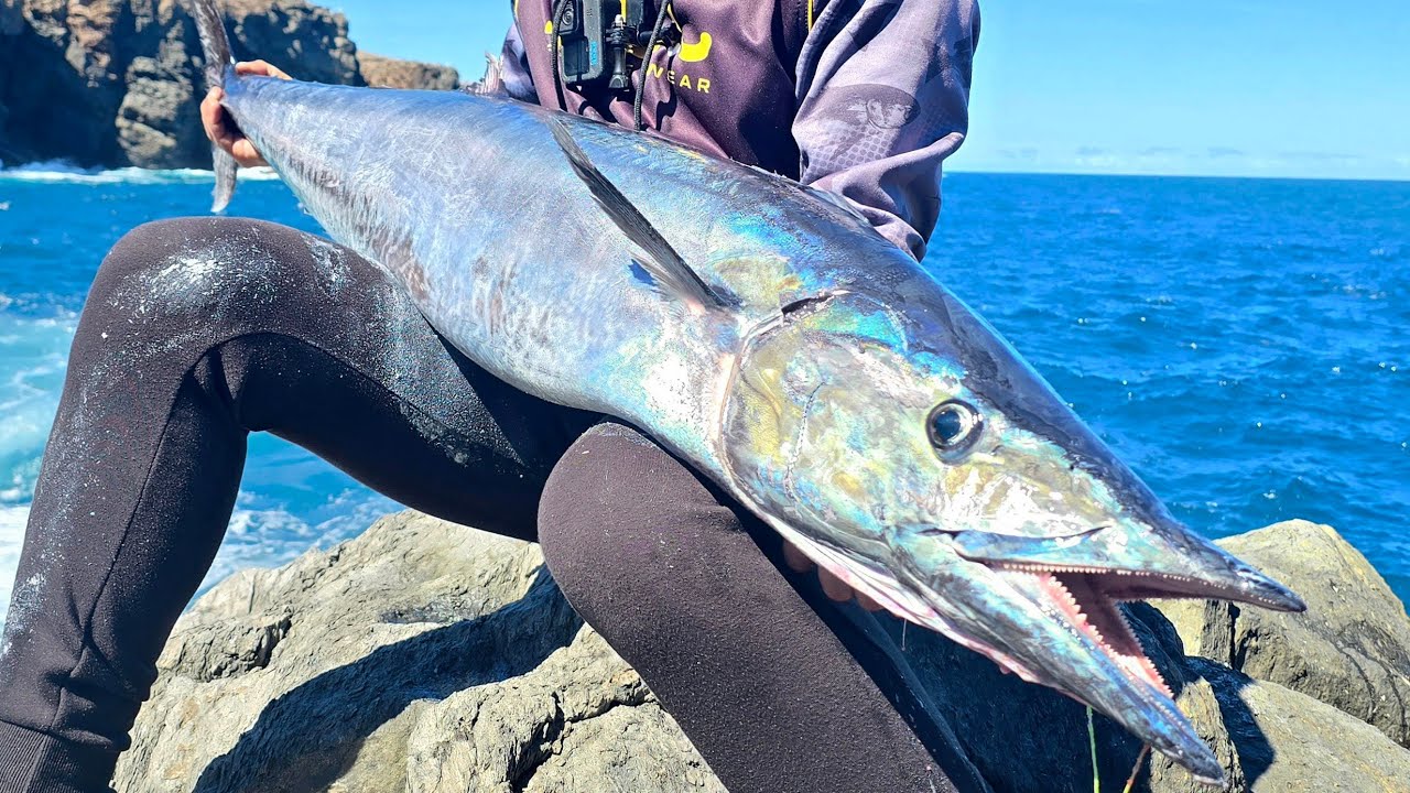 🔥PETO DESDE COSTA EN LAS CANARIAS🇮🇨XIPI EVO DE @jlclures7032 🔝20Kg DE WAHOO🤯(CASI LO PIERDO)🤦🏻‍♂️