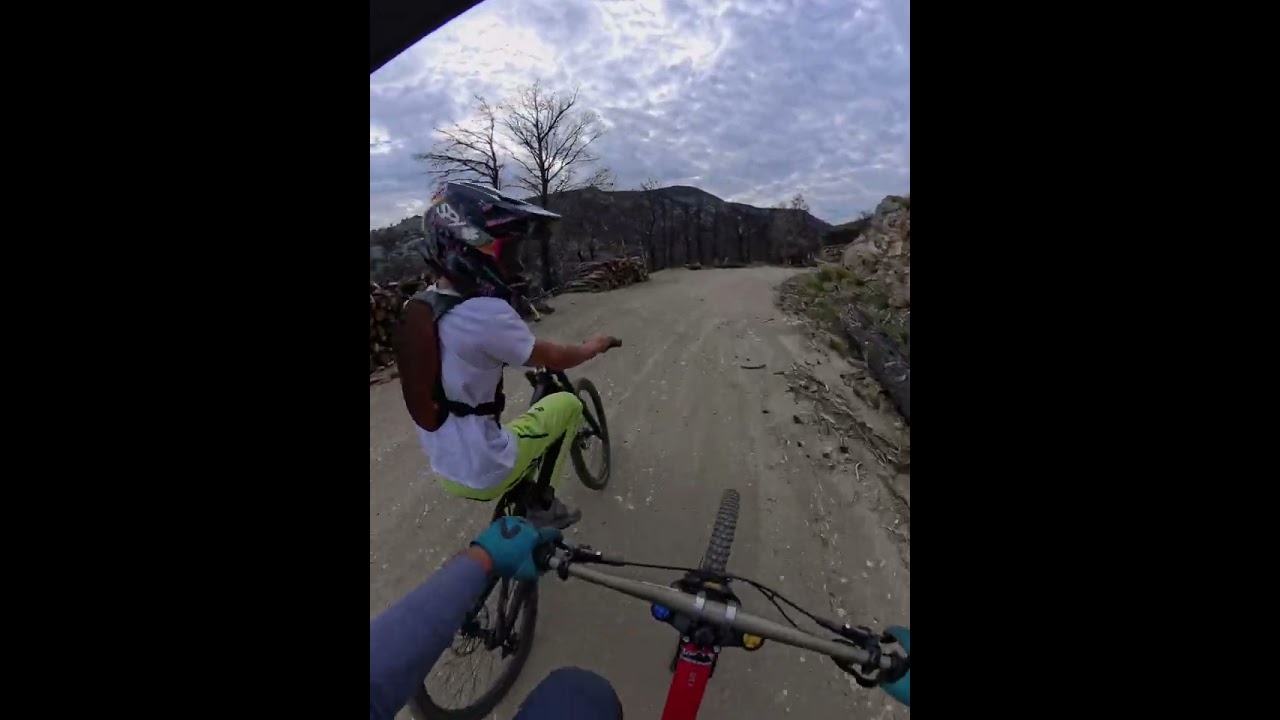 Downhill in Parnitha - Orange, Mourteza, Pink Trails