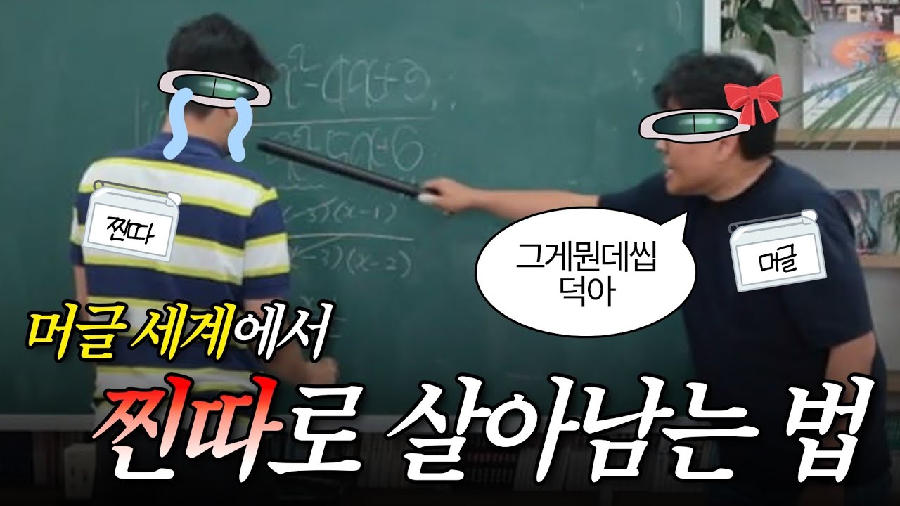 '찐'인걸 들키지 않는 방법, 머글에게 직접 물어봤습니다 