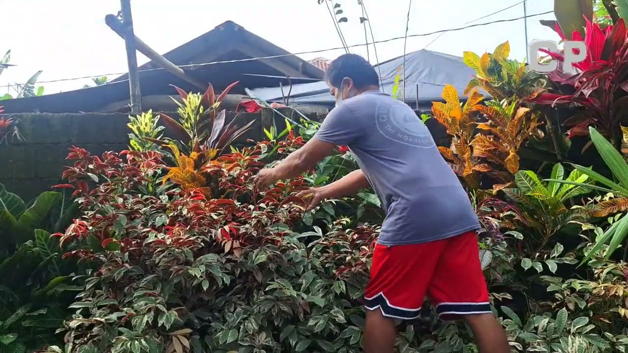 GARDEN GROOMING AND PROPAGATING CUTTING PLANTS