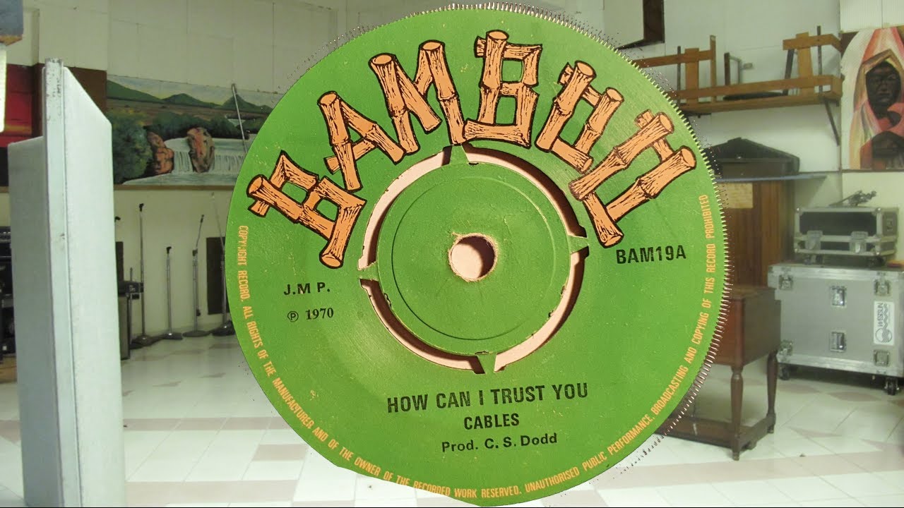 Cables How Can I Trust You - Bamboo - Studio One