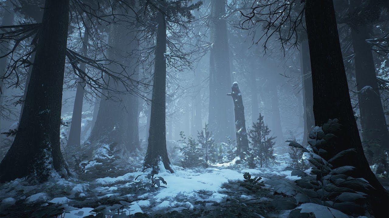 Dark Winter Music & Medieval Fantasy Music - Arctic Forest