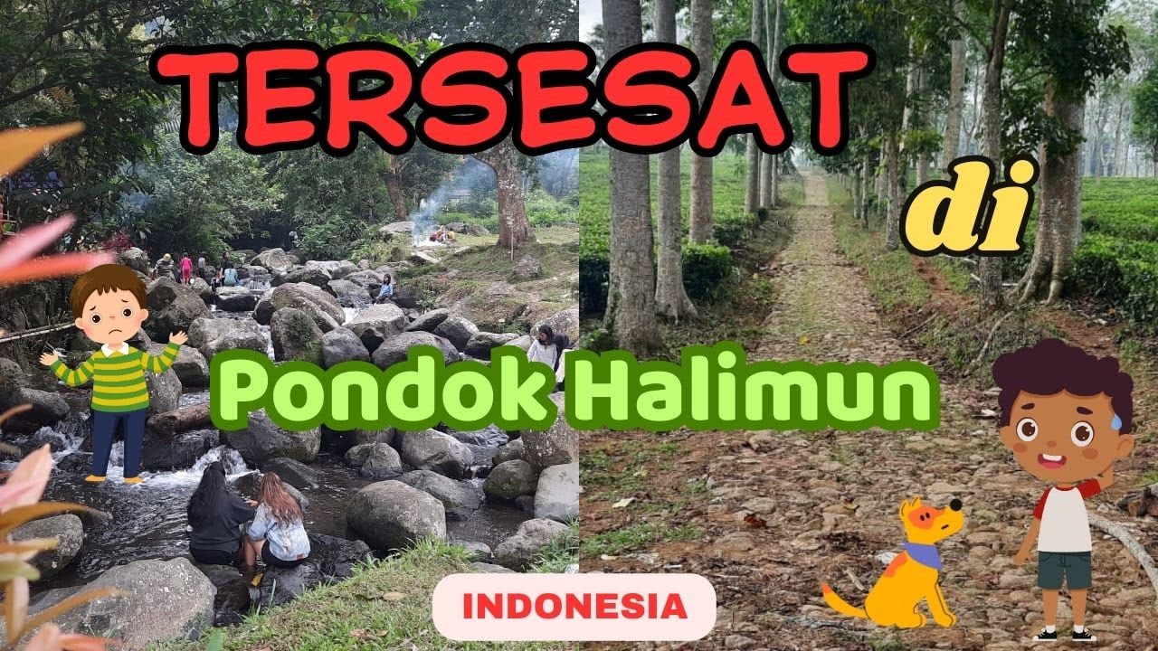TERSESAT , DI PONDOK HALIMUN CAMPING GROUND || SUKABUMI