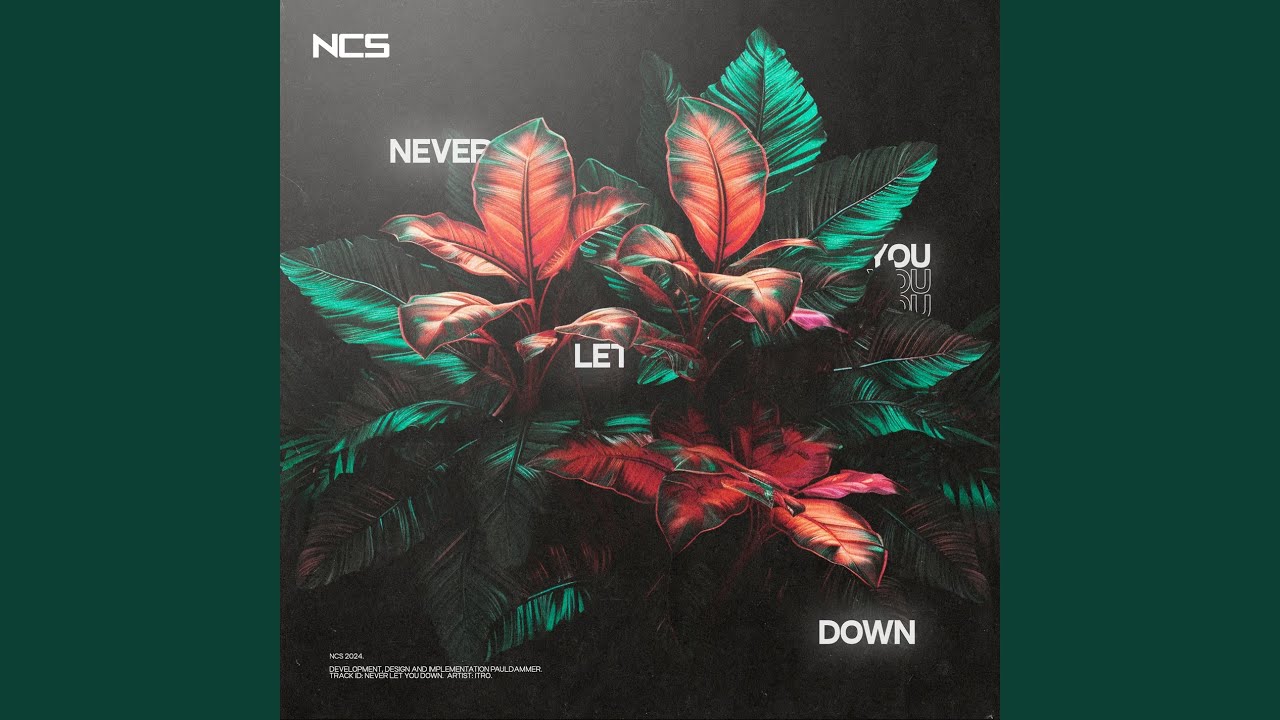 Never Let You Down