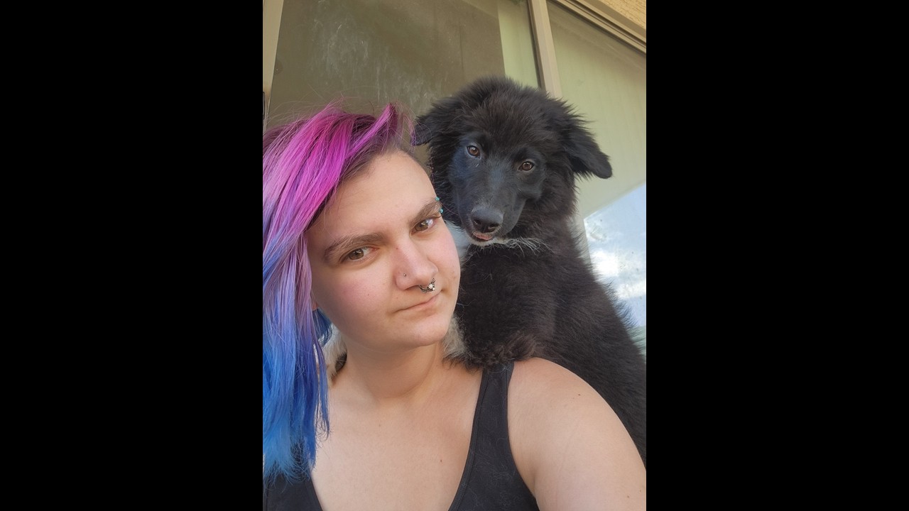 Australian Shepherd Puppies First Birthday-Happy Birthday Ruckus
