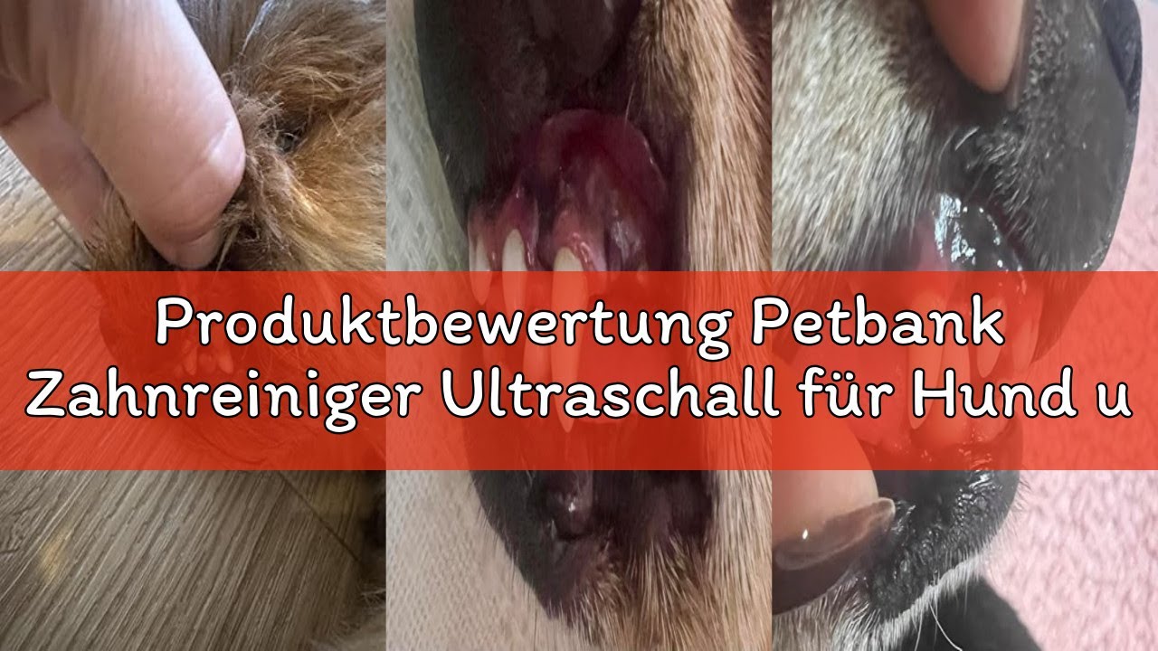 Produktbewertung Petbank Zahnreiniger Ultraschall für Hund und Katze, Zahnreiniger für Haustiere, Za