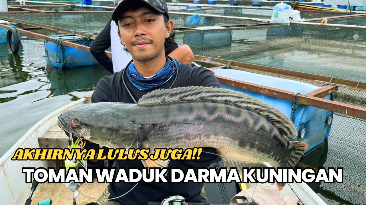 MANCING TOMAN DI WADUK DARMA KUNINGAN‼️ SENANG SEKALI KARNA BISA LULUS TOMAN DISINI‼️