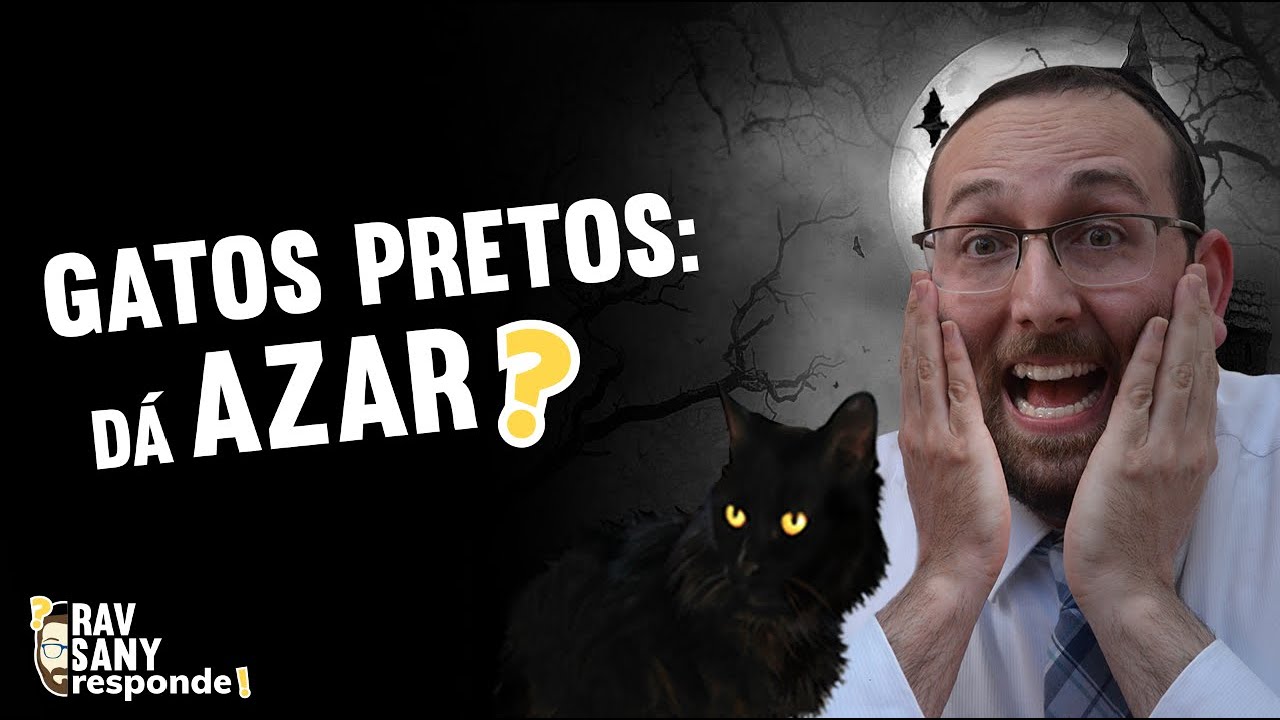 Gatos pretos: dá azar? | Rav Sany Responde