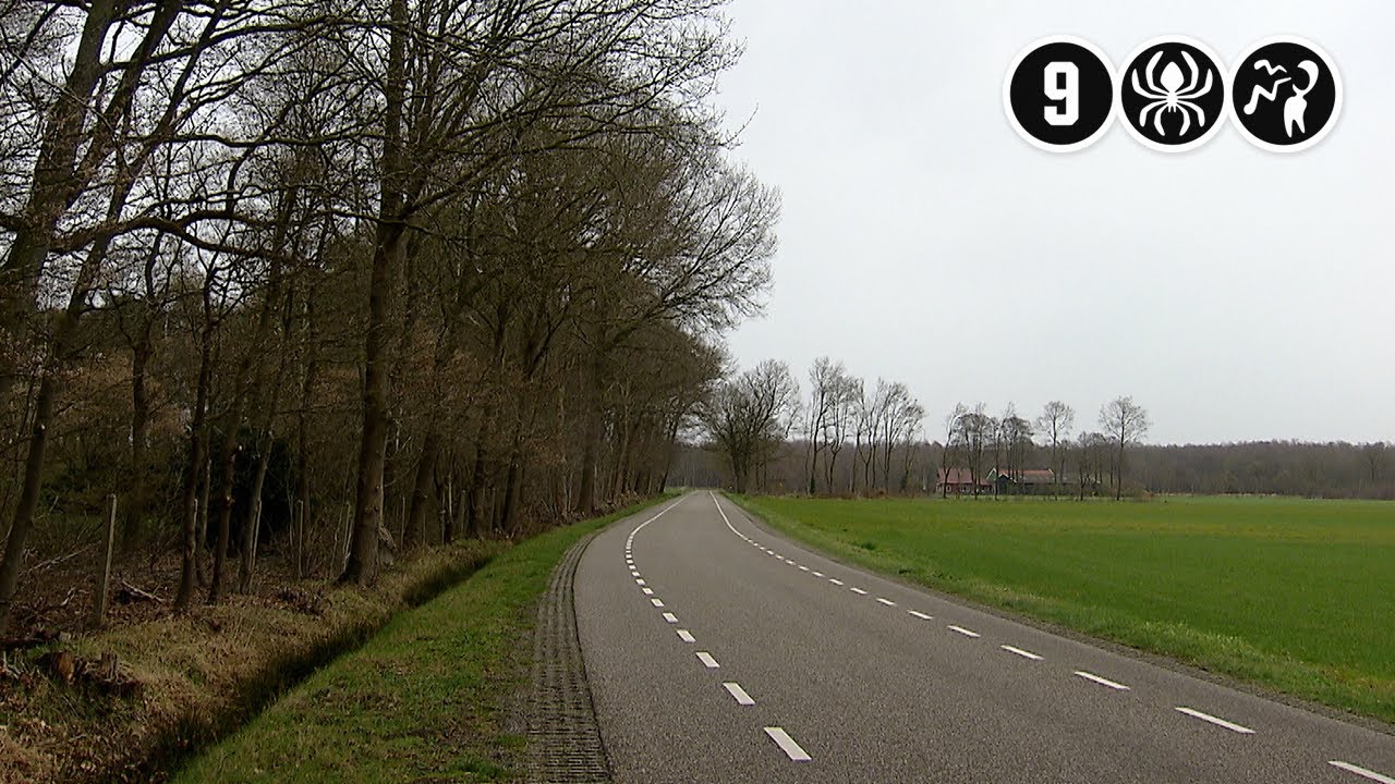 Tubbergen: Jonge vrouw aangevallen en met stroomstootwapen bewerkt