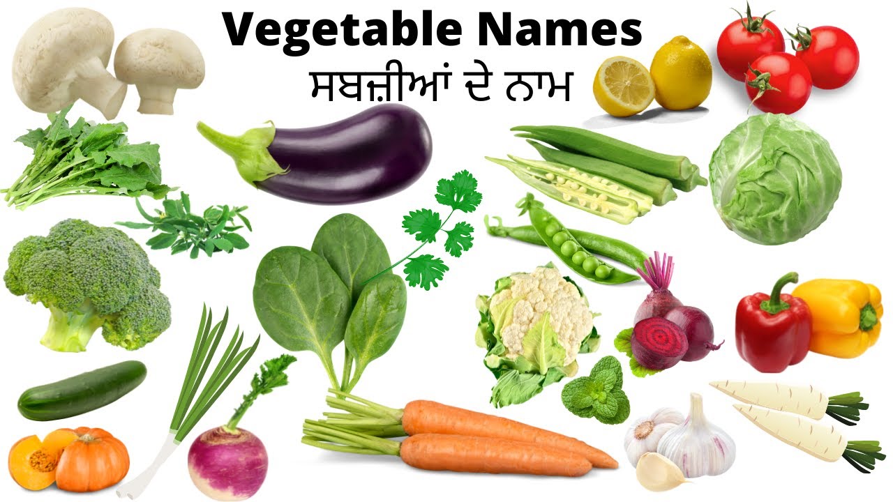 Vegetable Names in Punjabi ਸਬਜ਼ੀਆਂ ਦੇ ਨਾਮ Punjabi me Sabjiyon ke naam Sabzian de na Punjabi vich