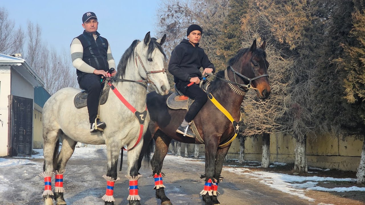 26.01.2026 NUR POLVONDAN IKKI OT SOTILADI  !..