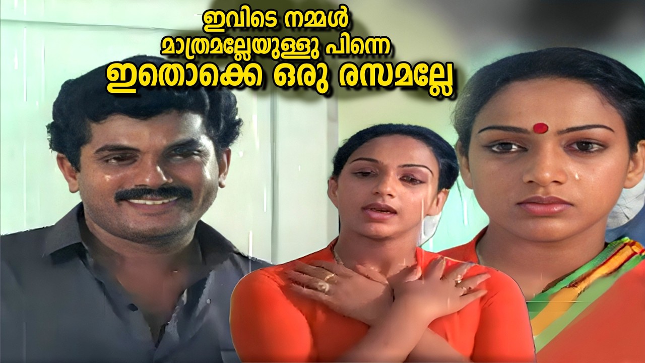 ഇവിടെ നമ്മൾ മാത്രമല്ലേയുള്ളു പിന്നെ ഇതൊക്കെ ഒരു രസമല്ലേ | Snehamulla Simham Movie | Mammootty