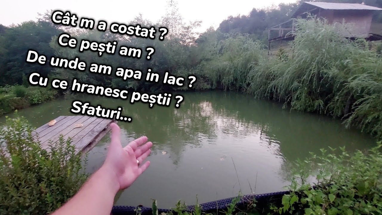 PREZENTARE BALTA DIN GRĂDINĂ - INVESTIȚII , PEȘTI , SURSĂ DE APĂ , etc.. 🐟
