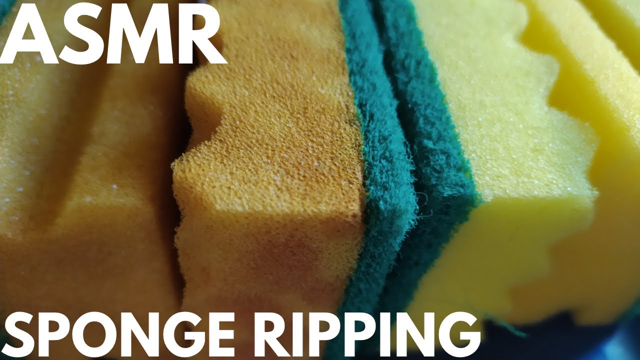 ASMR Dry Sponges Ripping: Bleached and Non-Bleached