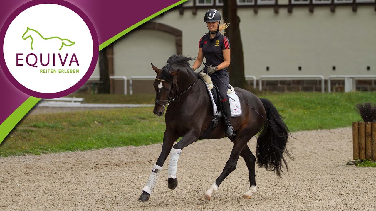 Reiten bei der Bundeswehr - Ann-Kristin ist Sportsoldatin in Warendorf