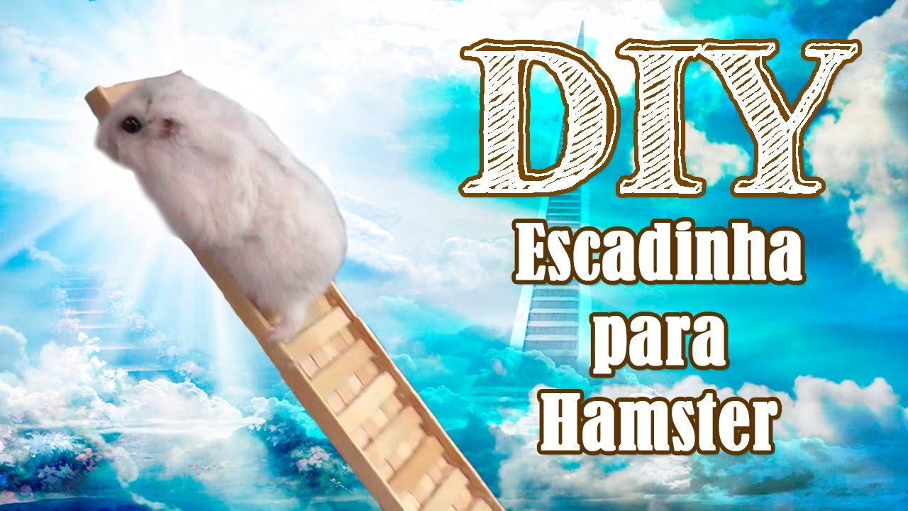 DIY Como fazer uma escadinha para hamster