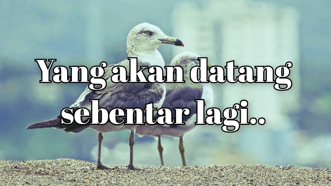 💜 Yang akan datang sebentar lagi..