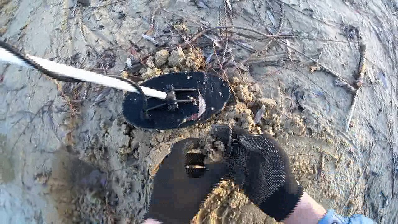 Открытие сезона 2017 коп на пляже