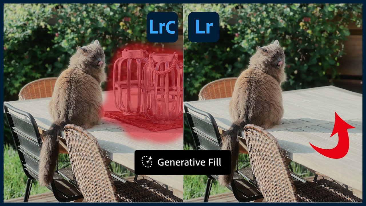 How to get the best results with Generative Remove and Lens Blur in Lightroom Classic!