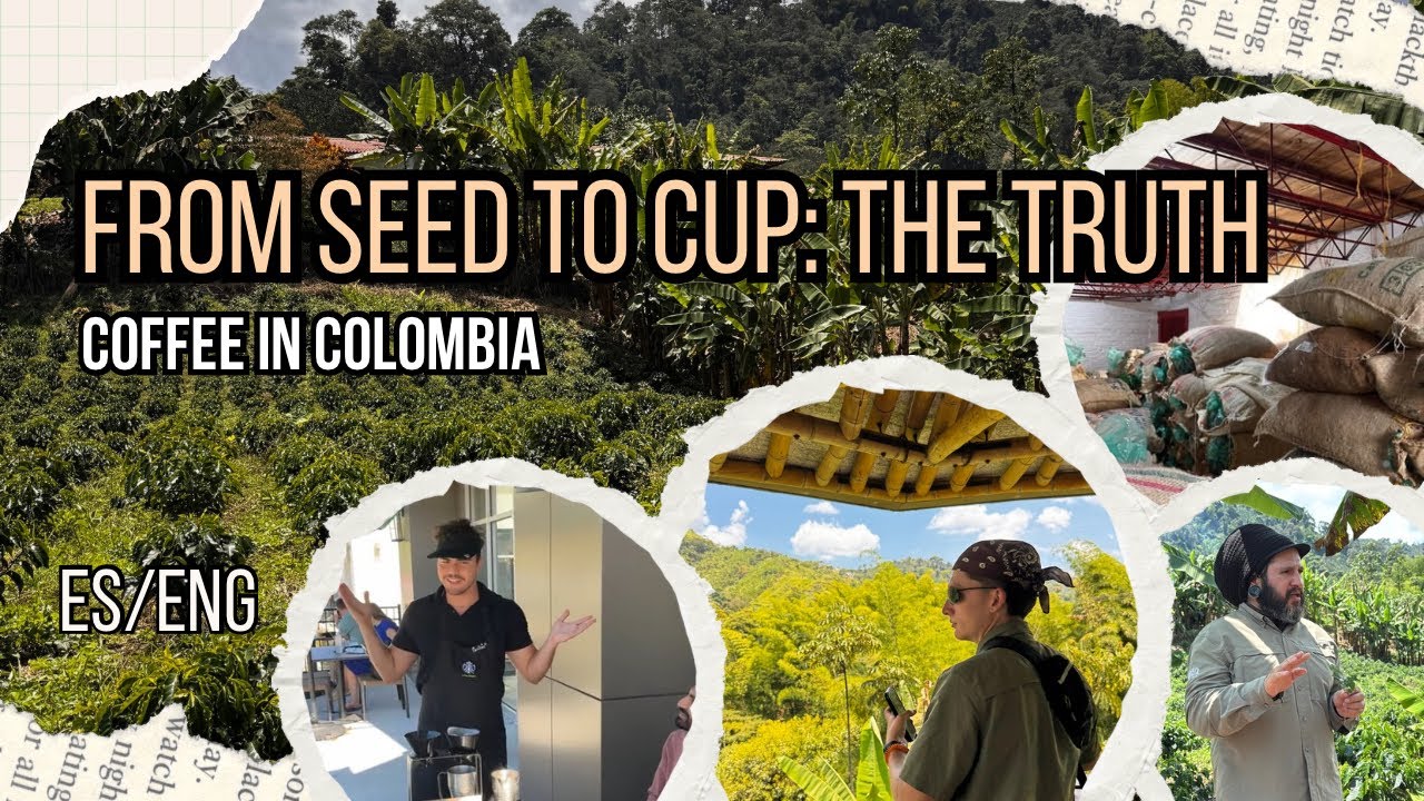 5 Years as a Barista. Here's the REAL Story of Your Morning Coffee | Colombian Coffee Documentary