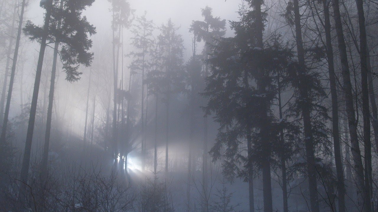 Truth Behind UFO sighting at Rendlesham Forest | Full Documentary | Alien Encounters | Real Story