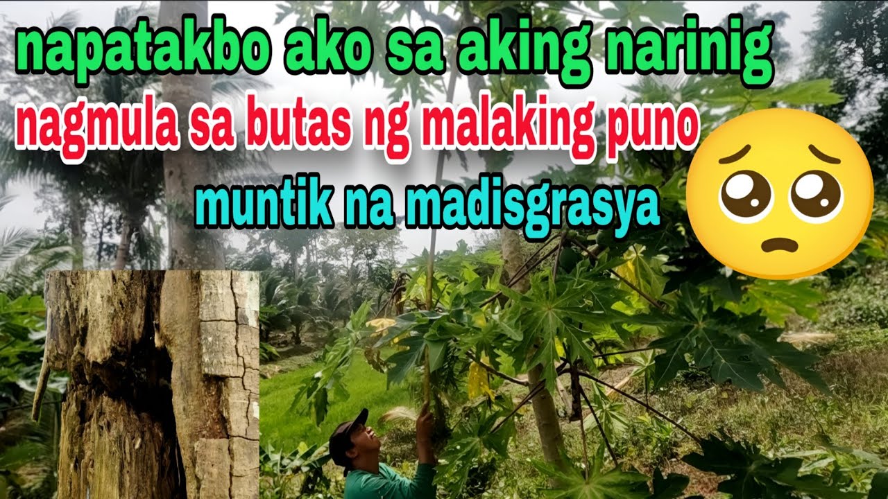 Salamat po at naligtas tayo sa isang sakuna