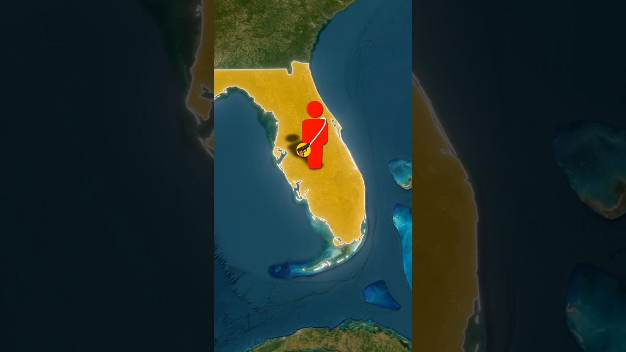 What do you think about floridas open carry gun law? 