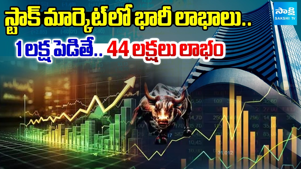 Huge Profit in Stock Market | 44 Lakhs Profit With One Lakh Investment | Sakshi TV