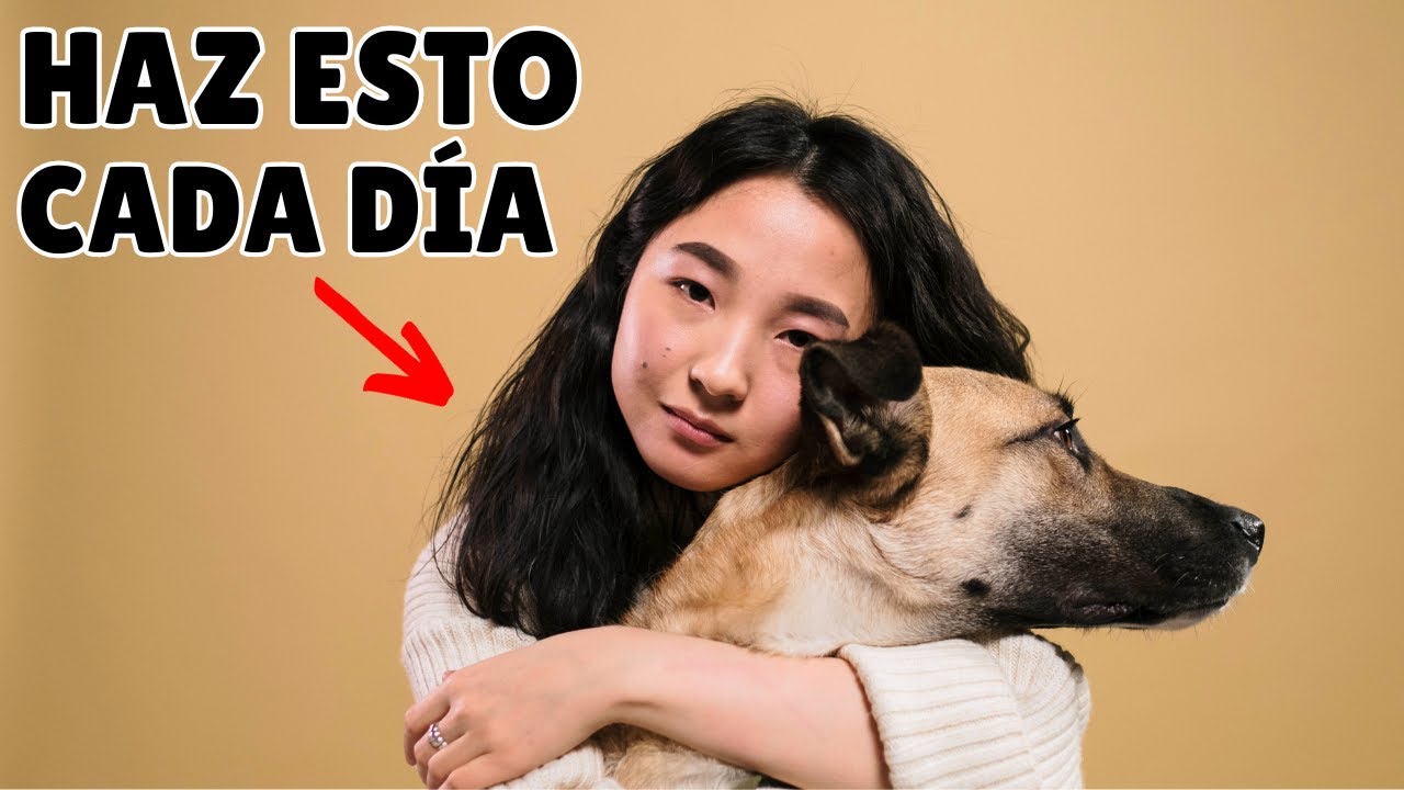 Haz que tu perro TE QUIERA MÁS ➡️ 12 formas probadas por científicos