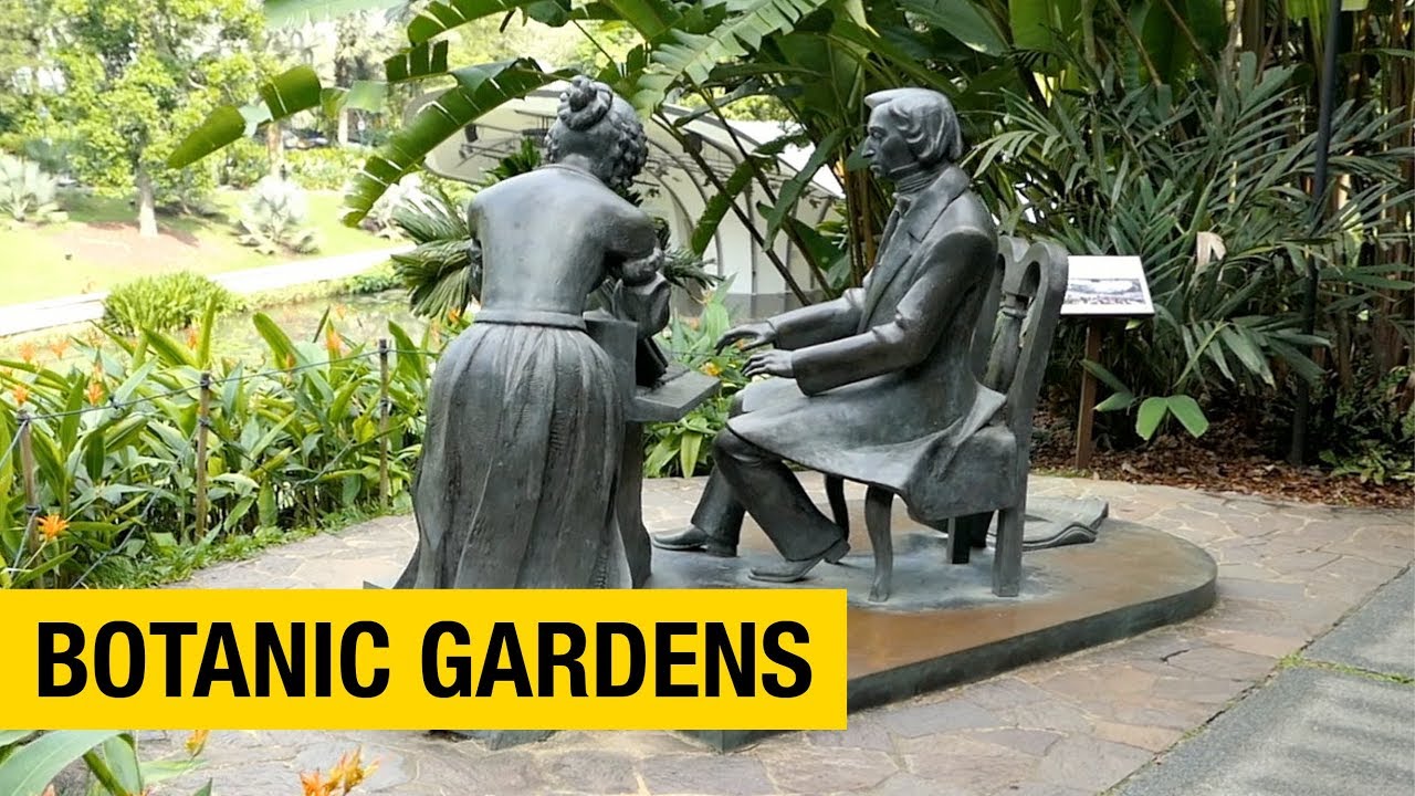 Exploring Singapore Botanic Gardens