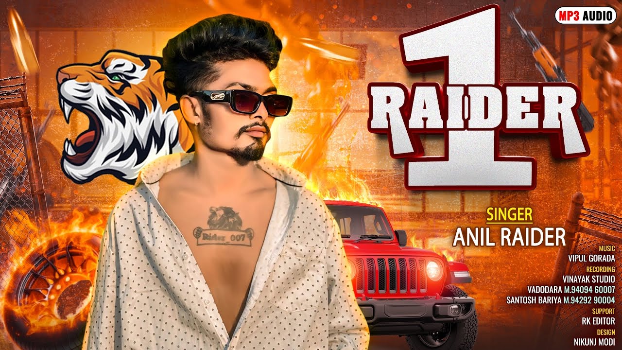 Raider 1 || Anil Raider 1 || New Timli 2025 || DJ Rimix Timli Anil Raider || New Treding Timli 2025