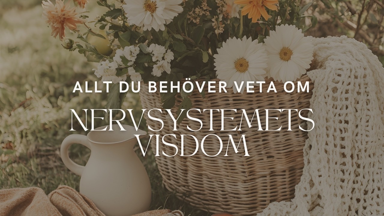 Allt du behöver veta om nervsystemets visdom