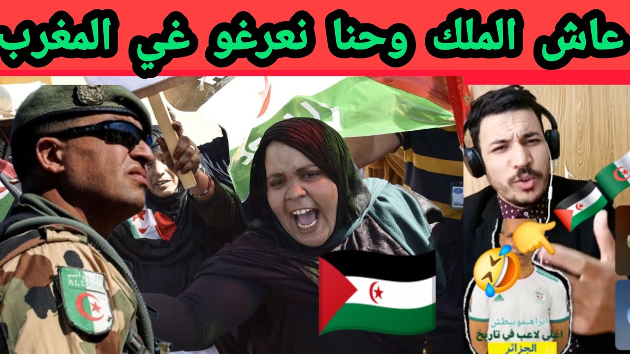 رد قوي من صحراوية على الجزائر.. كلام ناري اسمع حتى الاخر