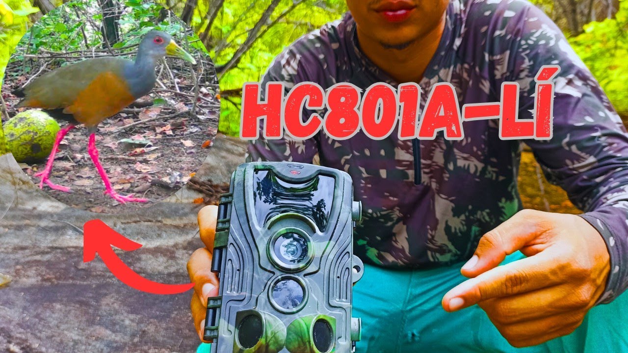 CÂMERA DE TRILHA (Trap) Hc801a-lí com bateria, todos os detalhes.