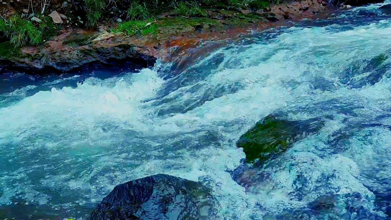 No Talking ASMR: Pure River Sounds for 5 minute of Restful Sleep #sleep 